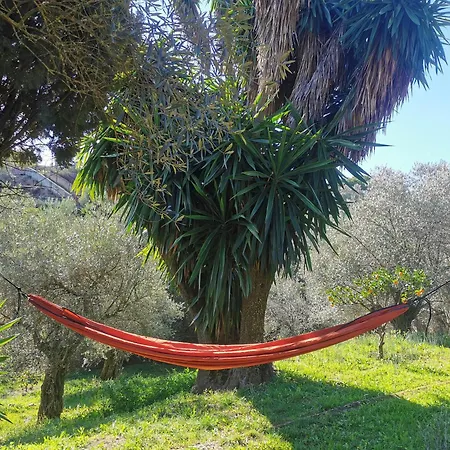 منزل ريفي Sombrero Cordobe *